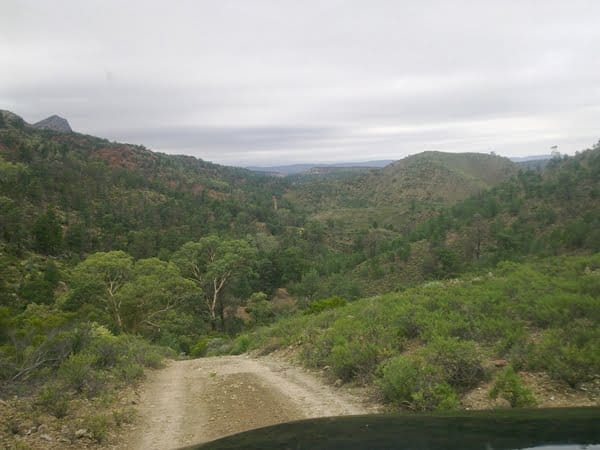 2011 FJ Cruiser Flinders Ranges