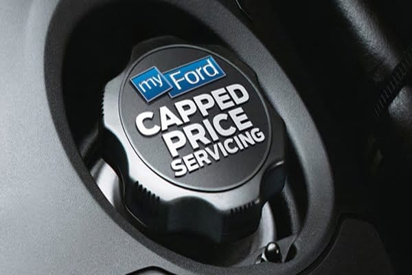 Ford capped price service 600 Ford capped price service