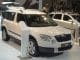 Skoda Yeti at AIMS 2011