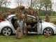 Baboons Destroy Hyundai i30