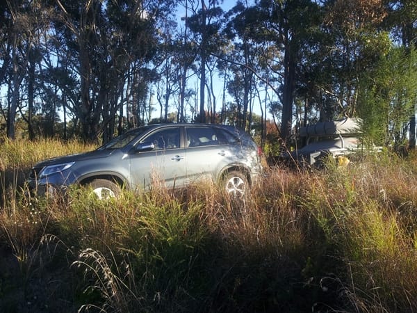 Kia Sorento SI Towing