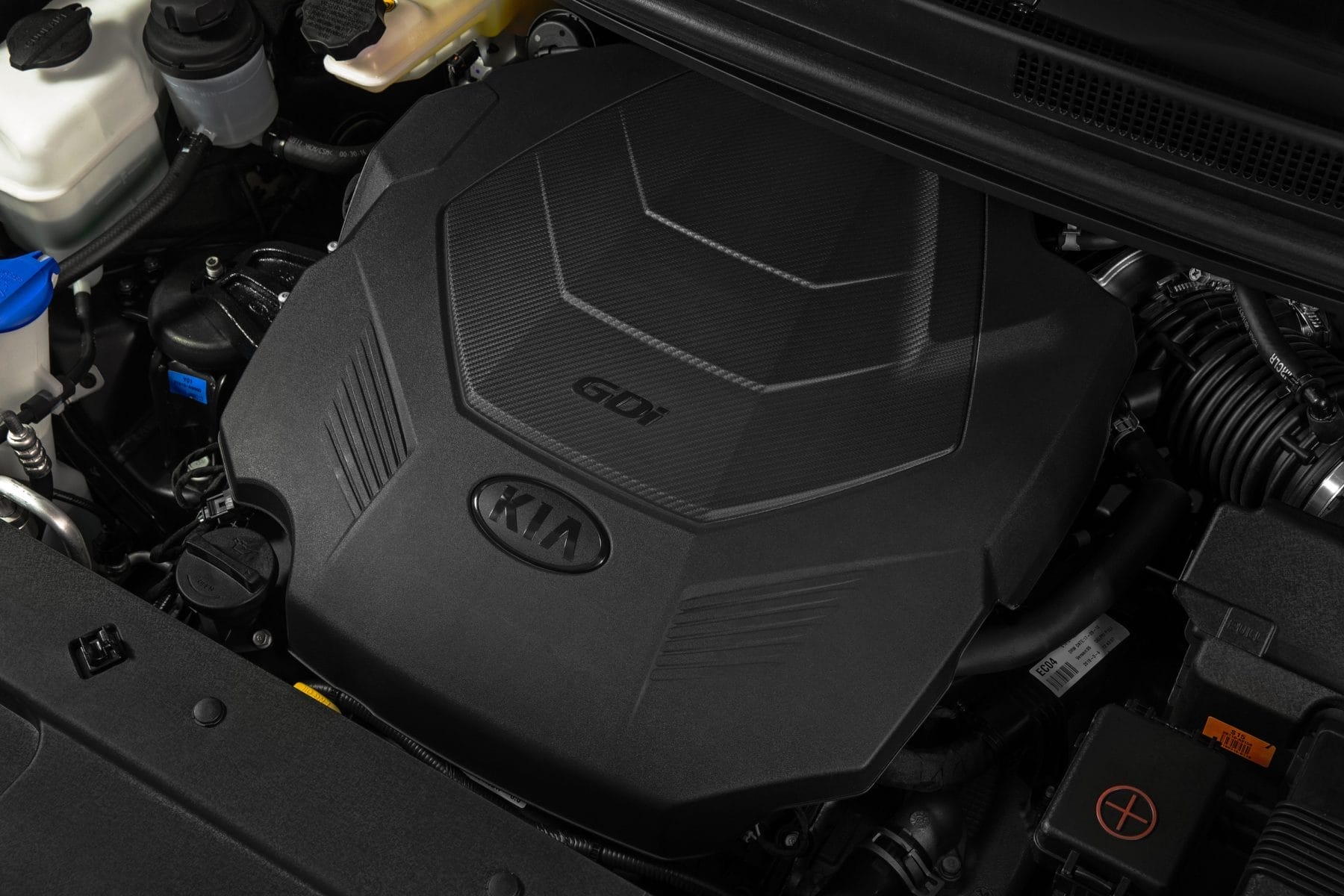 2019 Kia Carnival PE Platinum.