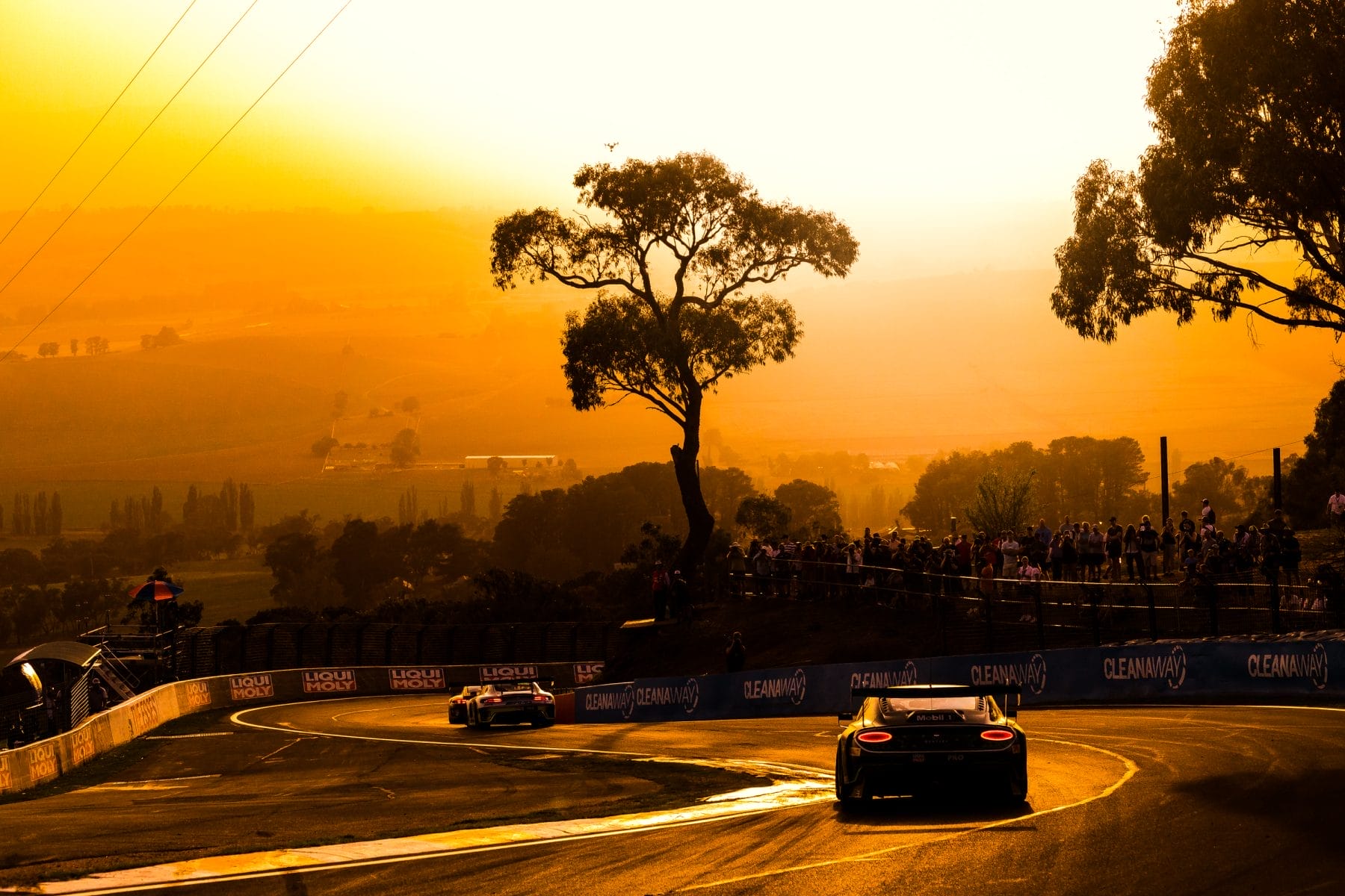 Bentley at Bathurst - 5