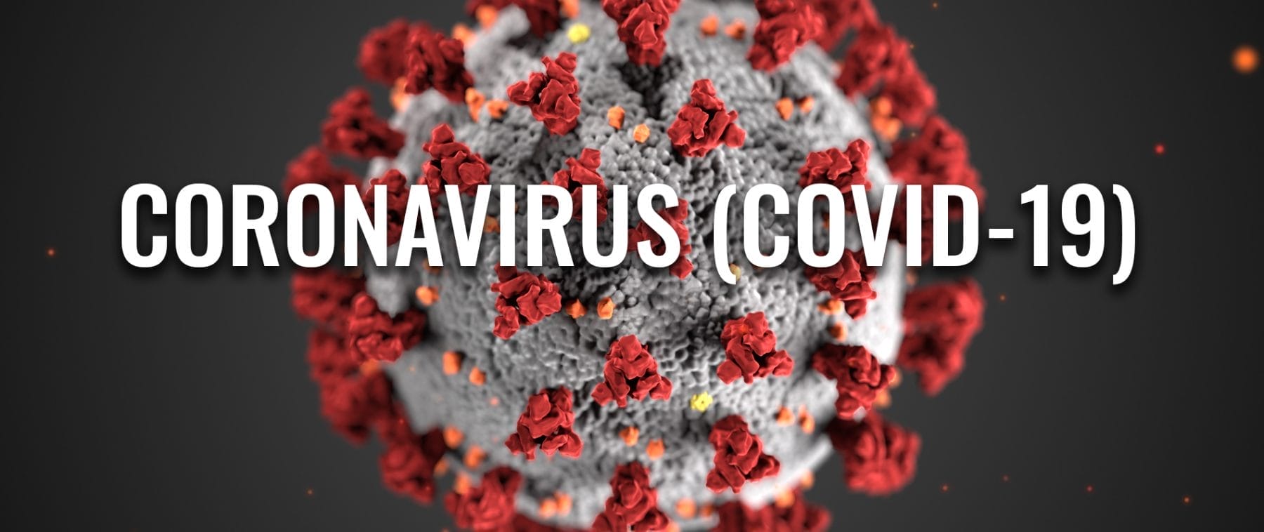 Coronavirus image