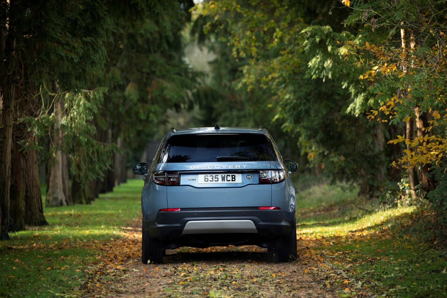 Land Rover Discovery Sport 7 rear