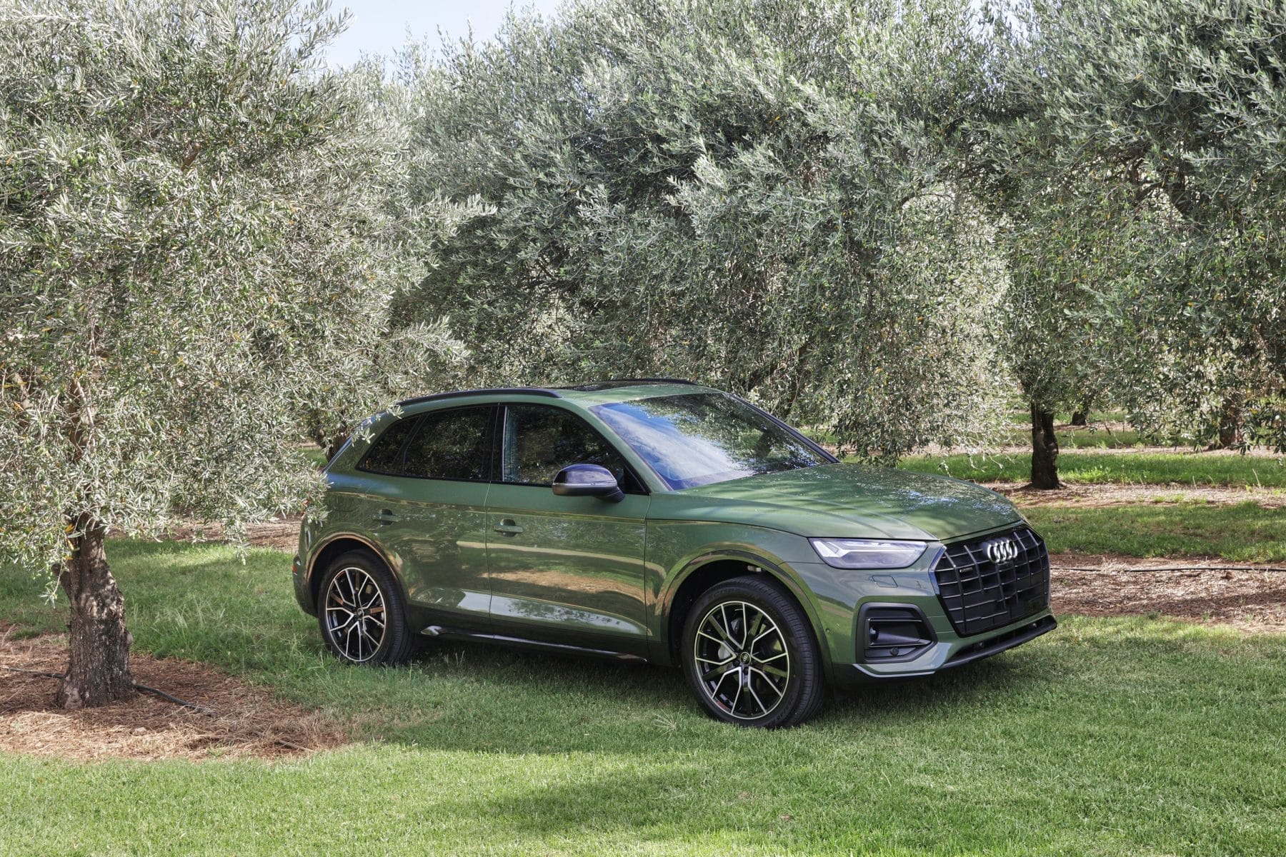 2021 Audi Q5