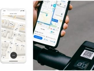 Bird-google-maps-collage