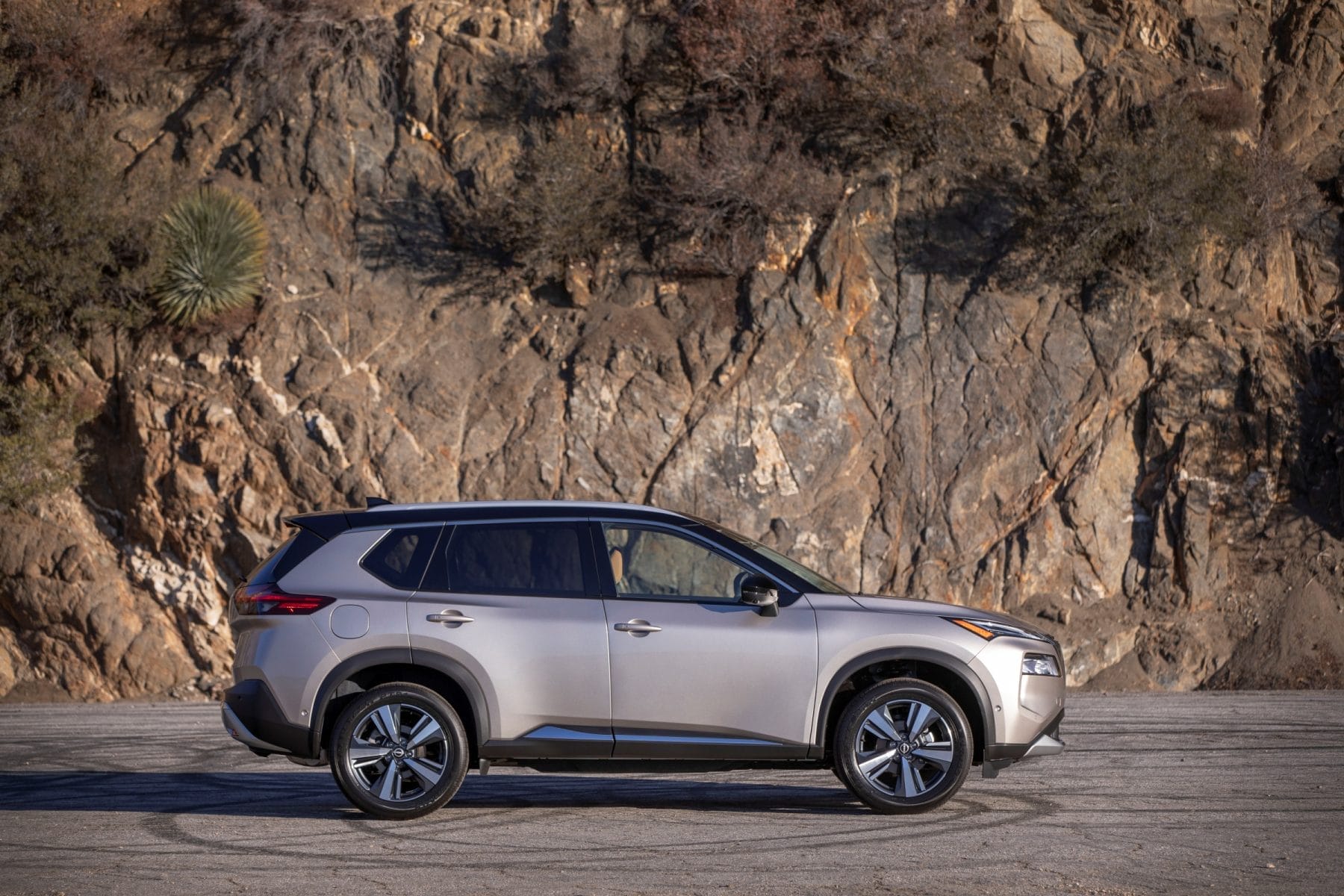 2022 Nissan X Trail TDI Rogue profile