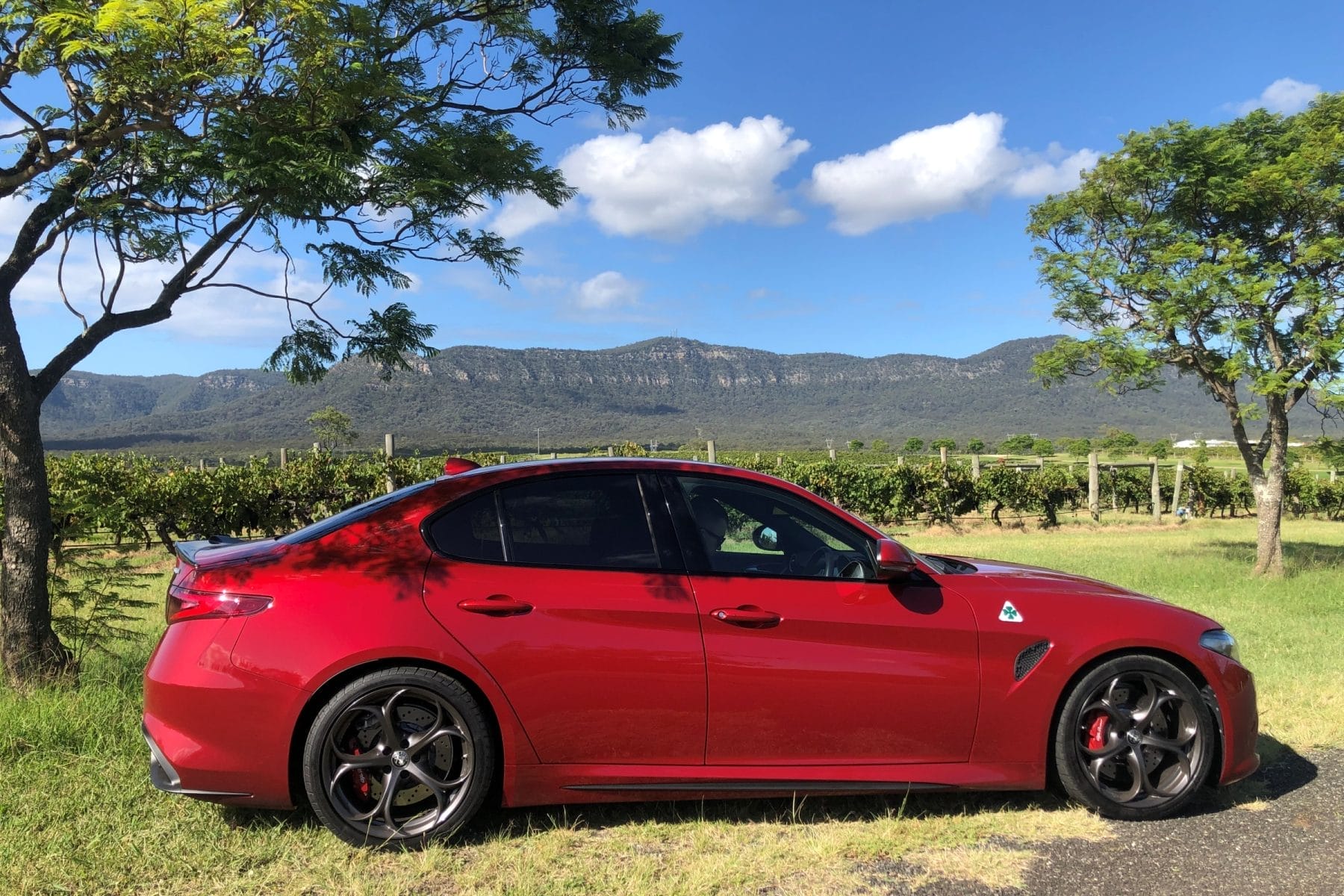 Alfa Romeo Guilia Quadrifoglio Sedan profile