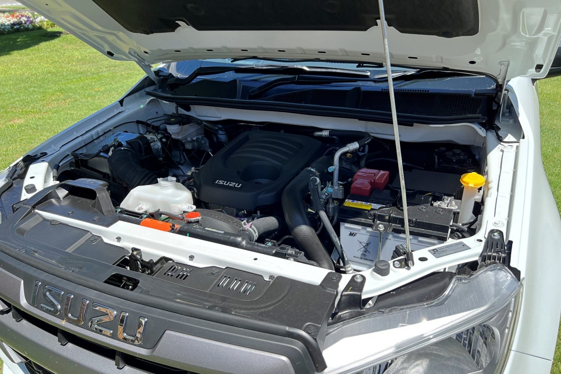 Isuzu D-MAX 4x2 SX Single Cab Chassis 2022 1900 engine