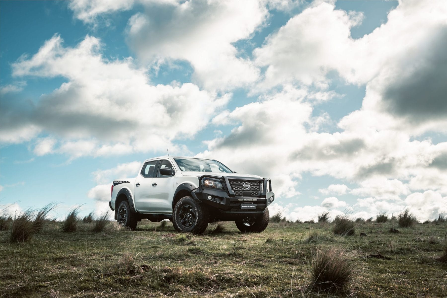 Nissan Navara SL WARRIOR-Picture by Thomas Wielecki-