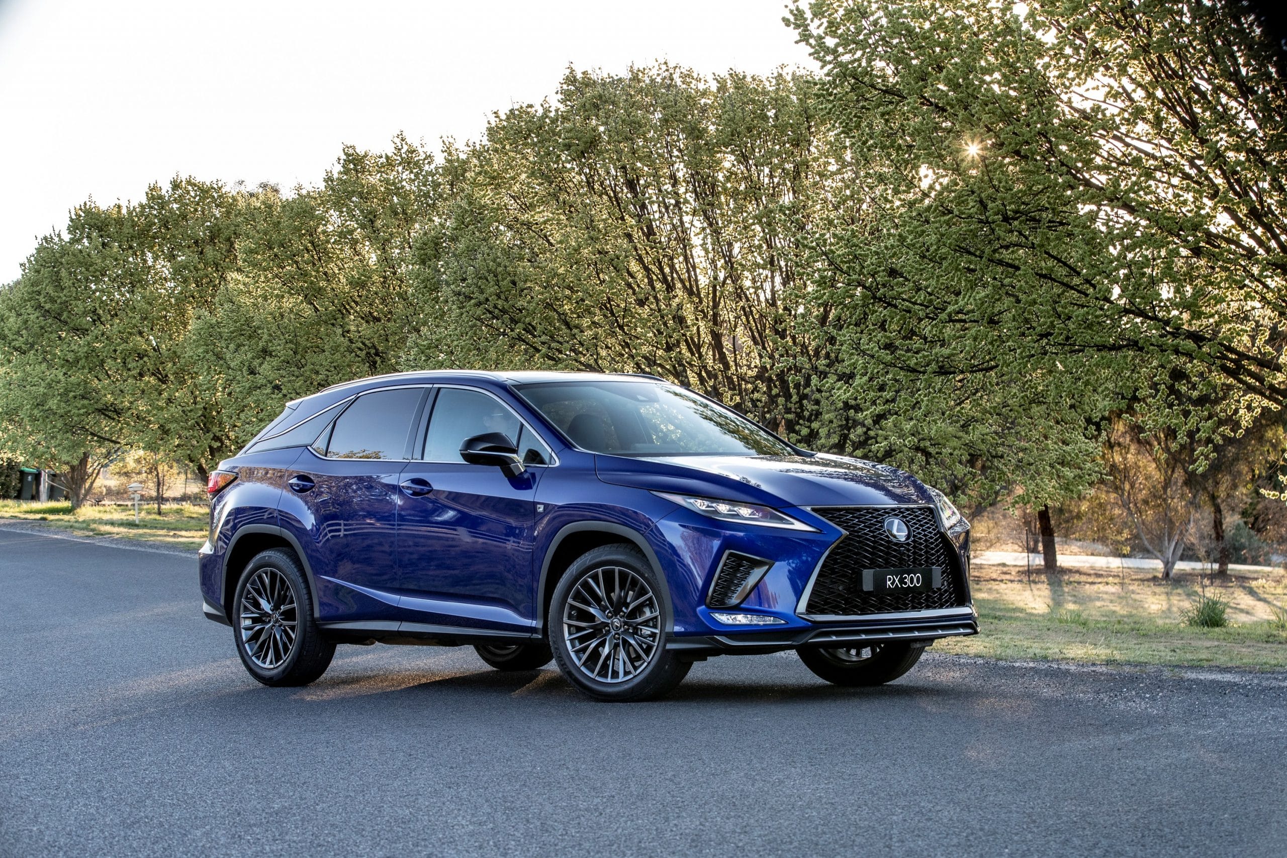 2019 Lexus RX 300 F Sport in Deep Blue