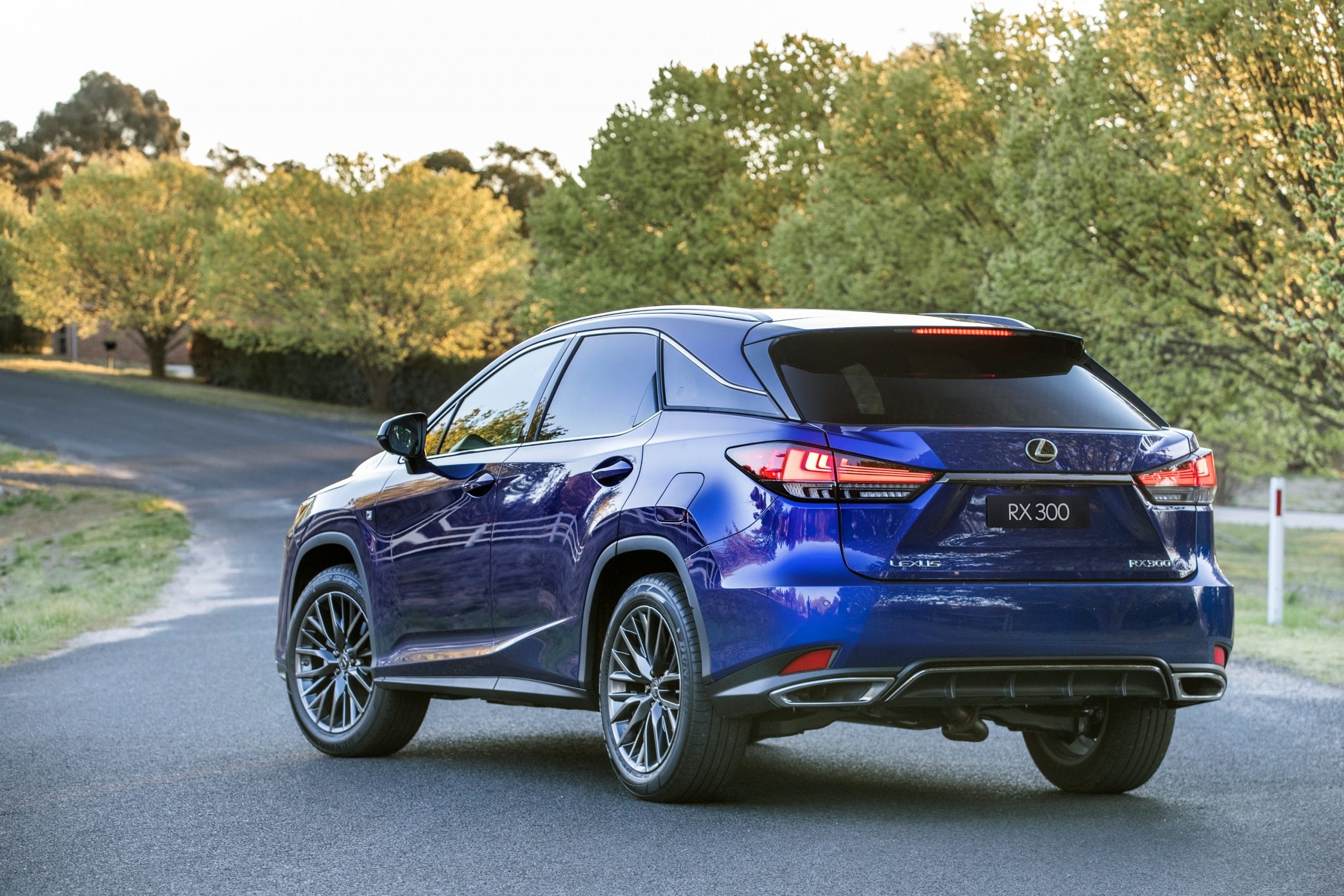 2019 Lexus RX 300 F Sport in Deep Blue