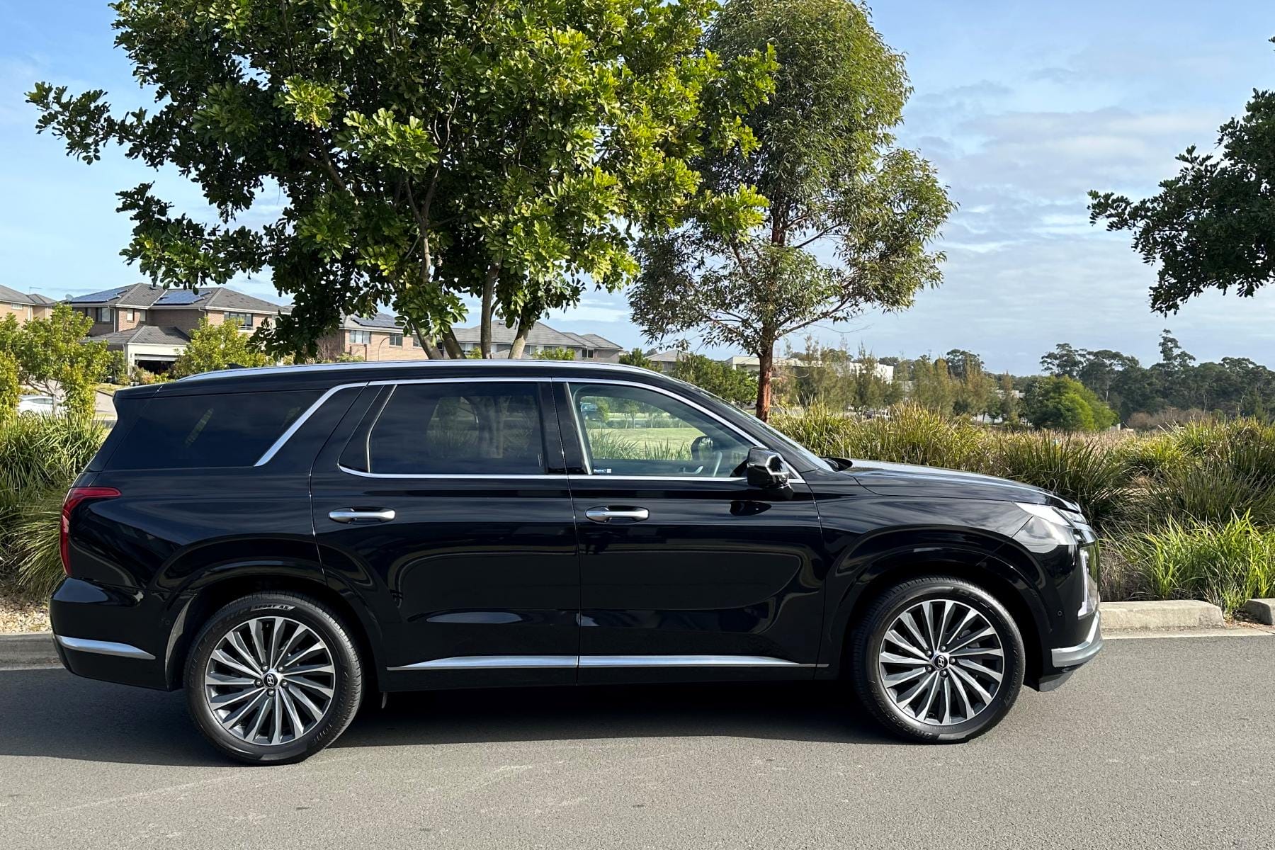 Hyundai Palisade Highlander 3.8L V6 Petrol profile - Copy