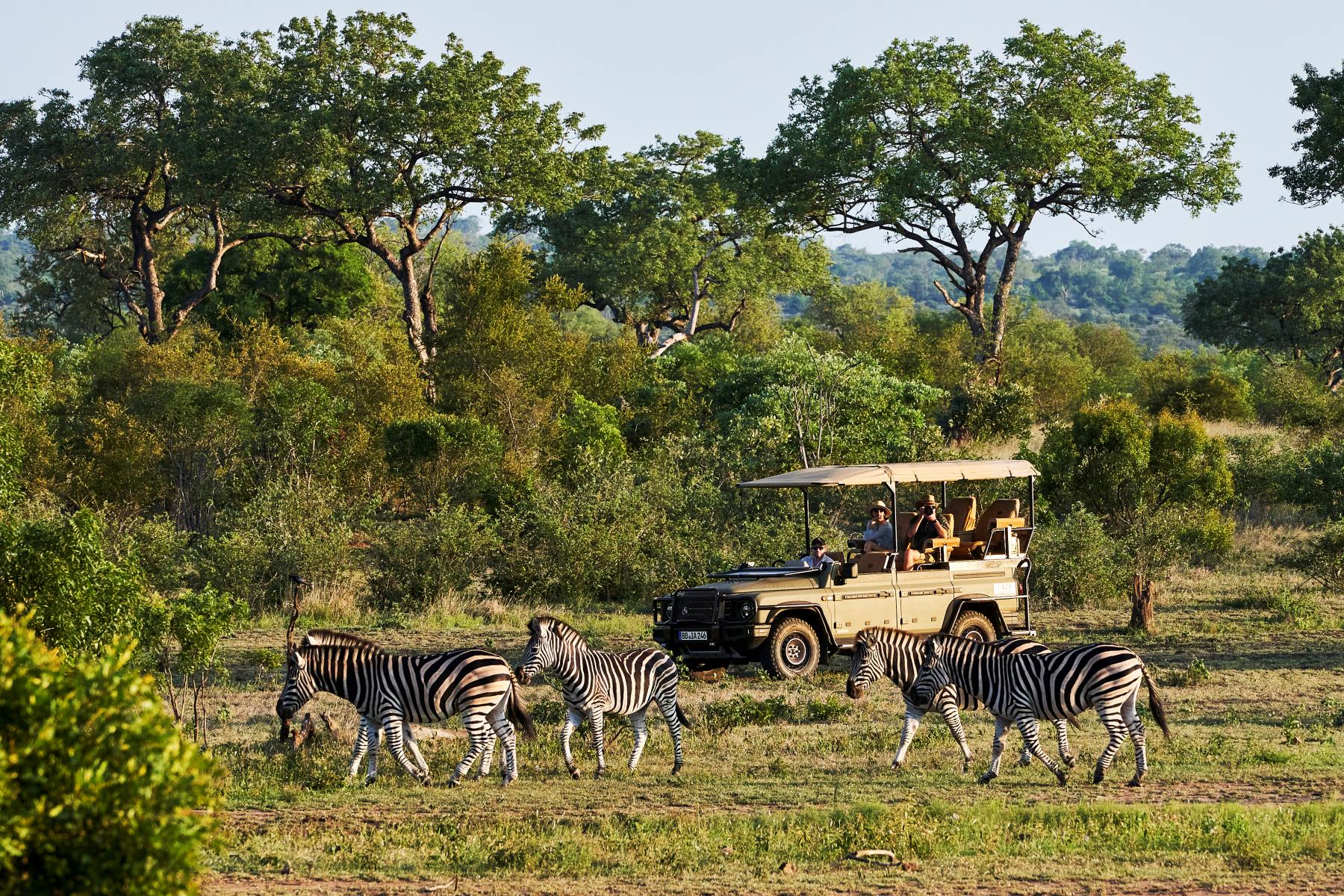 INEOS Grenadier Safari Vehicle by INEOS Kavango 2