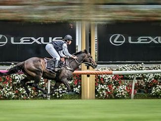 Lexus Melbourne Cup 2