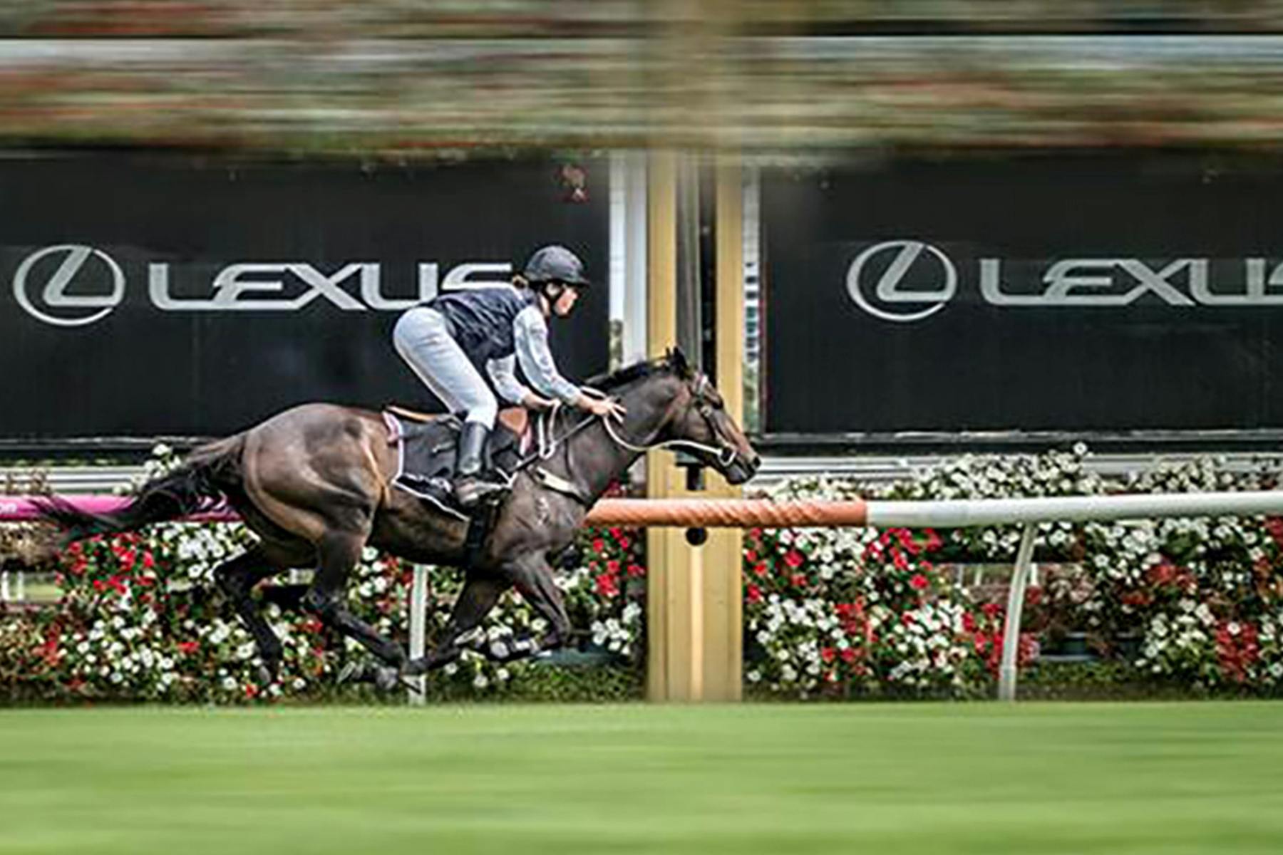 Lexus Melbourne Cup 2