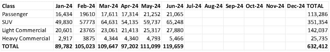 Car sales by type YTD June 24