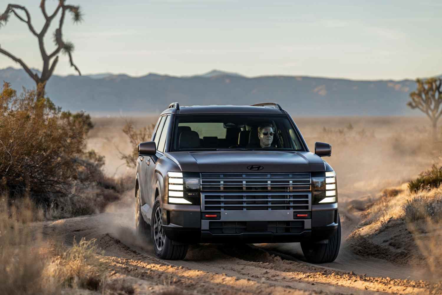 2026 Palisade XRT PRO