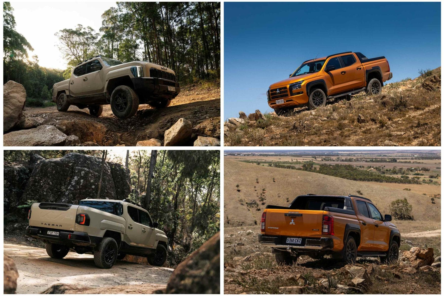 Tasman VS Triton offroad