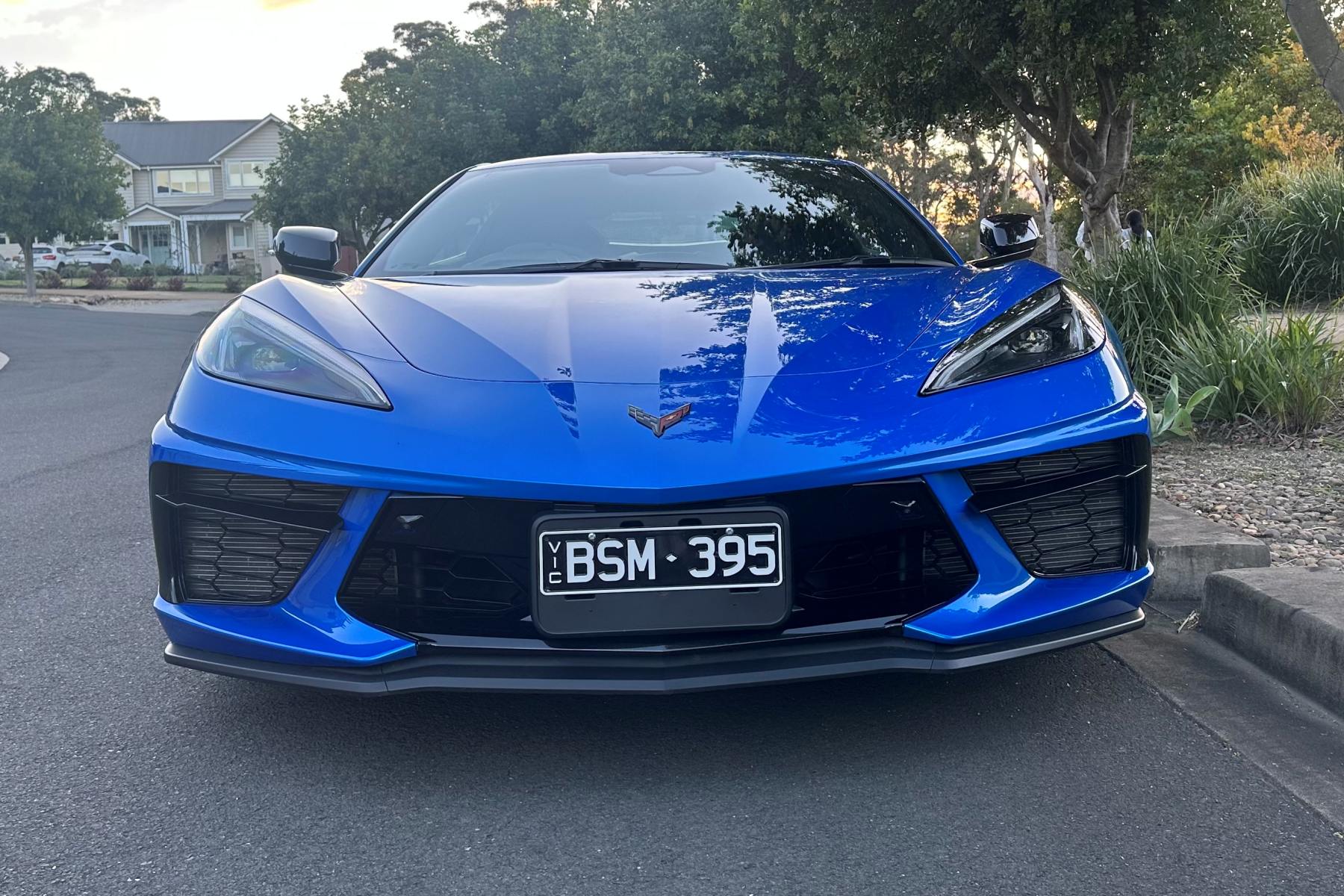 Corvette Stingray front grill 1