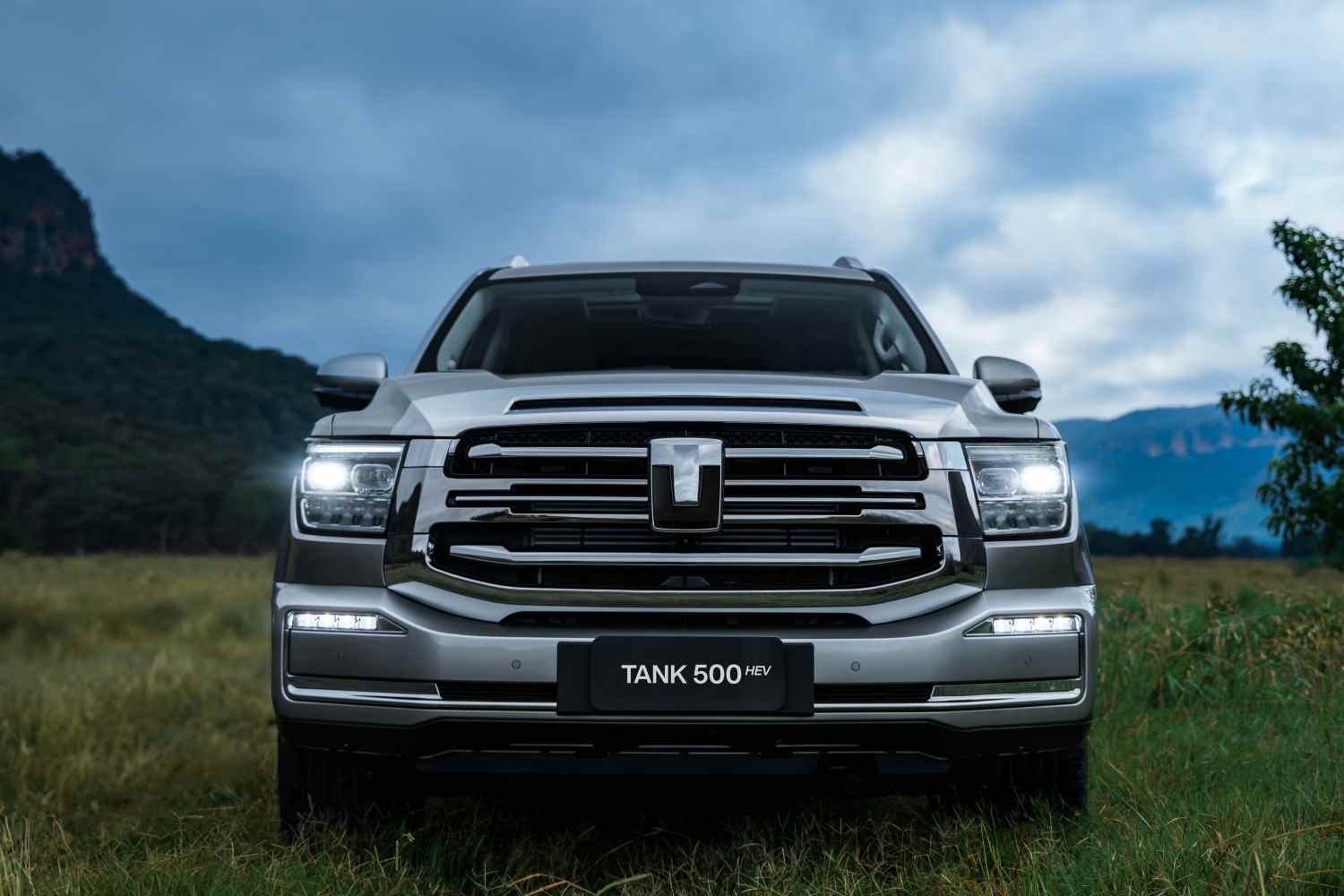 GWM Tank 500 - Sports Grille_3